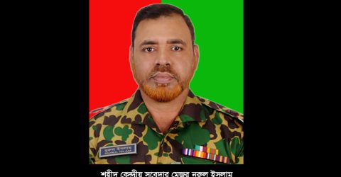 পিলখানা শহীদ নুরুল ইসলাম, বীরত্বসূচক রাষ্ট্রীয় খেতাব দাবি সন্তানের